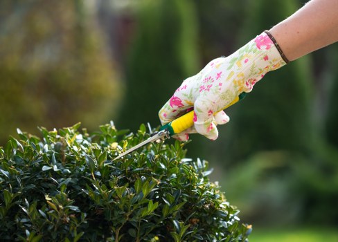 Garden safety policy illustration for Grahame Park gardening work