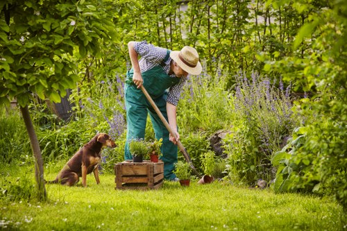 Gardeners Grahame Park maintaining a healthy front garden