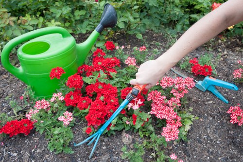 Professional garden care in Grahame Park for healthy outdoor spaces