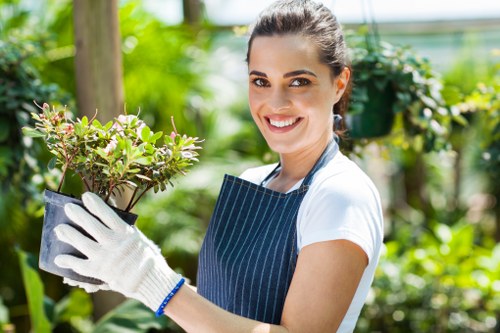 Professional lawn mowing and edging for a Grahame Park property