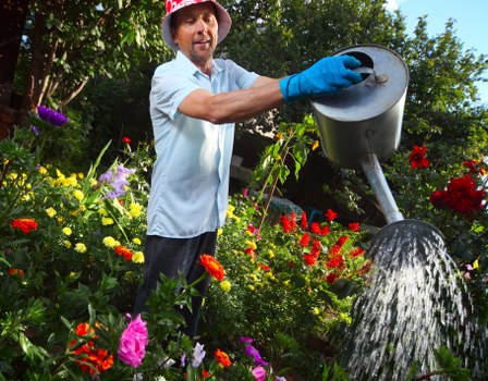 Professional Grahame Park gardeners trimming hedges and shrubs