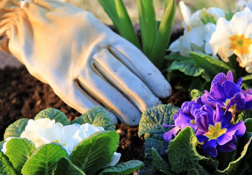 Seasonal lawn maintenance and mowing checklist for Grahame Park