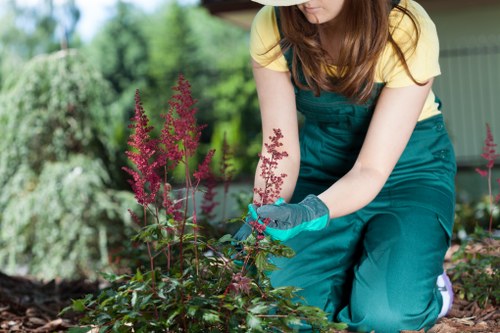 Supplier audit and compliance review in the Gardeners Grahame Park statement