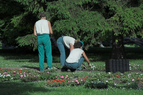 Seasonal garden maintenance in Grahame Park with trimmed shrubs
