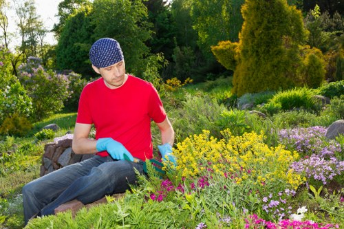 Professional hedge trimming and pruning in Grahame Park garden