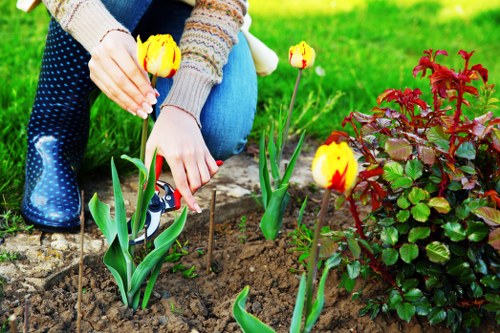 Local lawn maintenance in Grahame Park for tidy garden surfaces