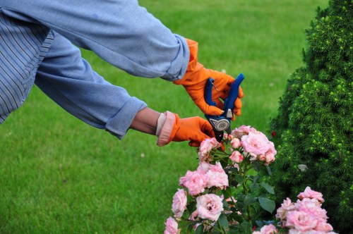 Seasonal hedge trimming work in a Grahame Park outdoor space