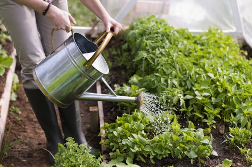 Local garden maintenance in Grahame Park with lawn care and hedge trimming
