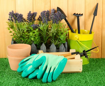 Inclusive gardening access image for the Grahame Park area