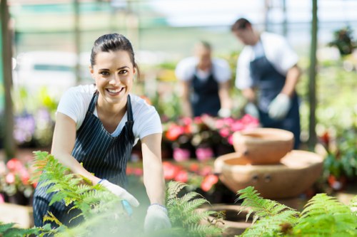 Local garden maintenance in Grahame Park with lawn and border care