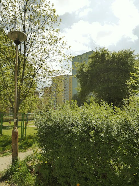 A lush urban garden with a variety of green plants, including a dense shrub in the foreground and several tall trees with fresh, light green leaves. A paved pathway runs through the garden, bordered b
