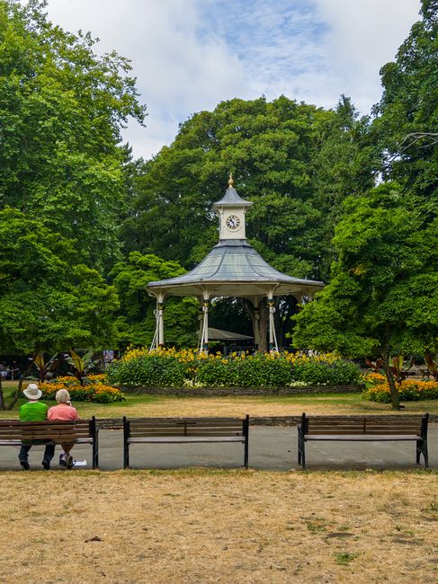 Same day gardeners in Grahame Park for urgent garden clearance